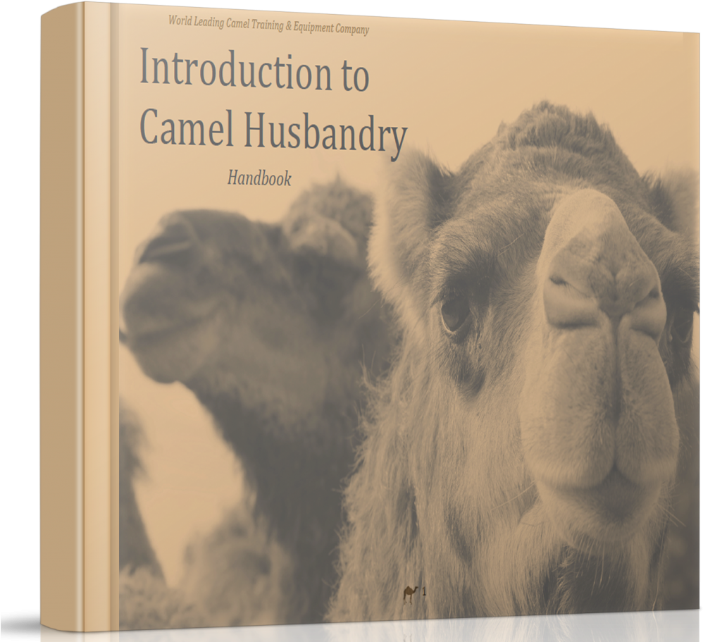 Camel Husbandry Handbook Cover