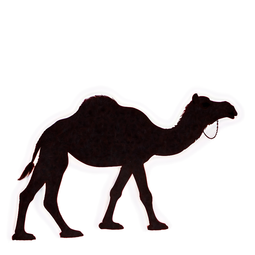 Camel Silhouette At Night Png Rad