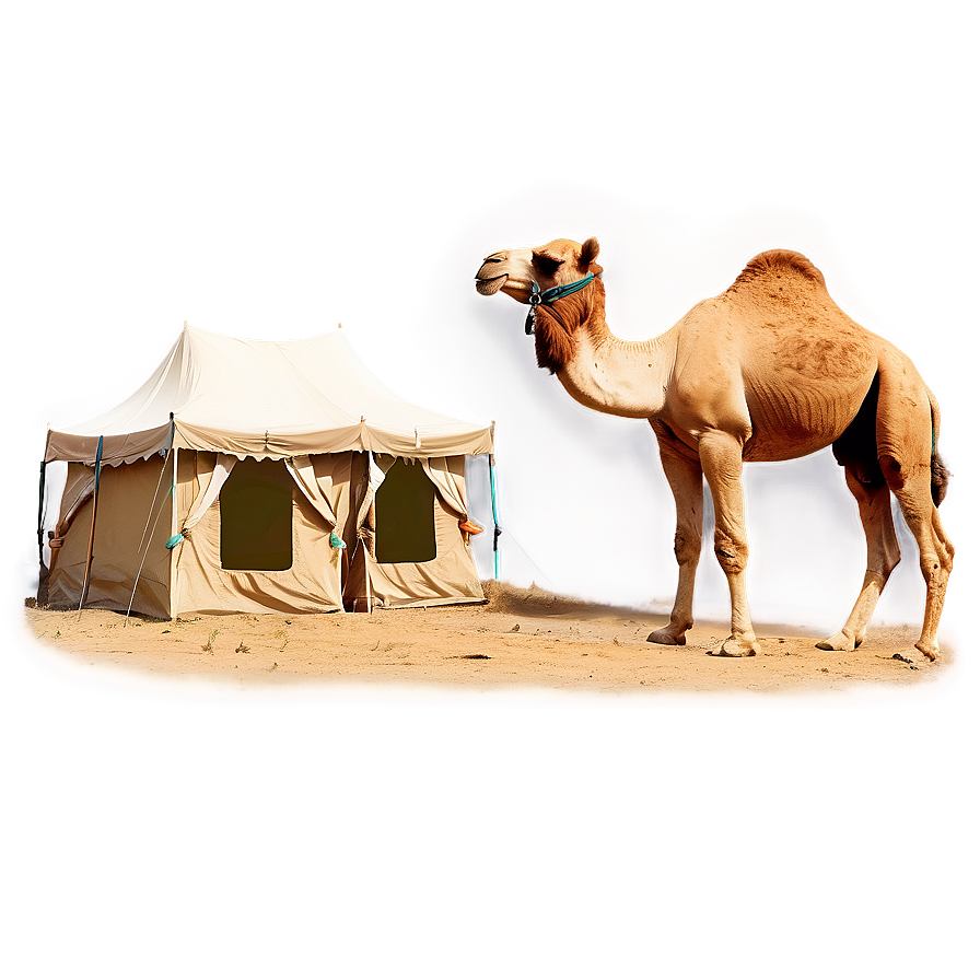 Camel With Tents Background Png 05212024