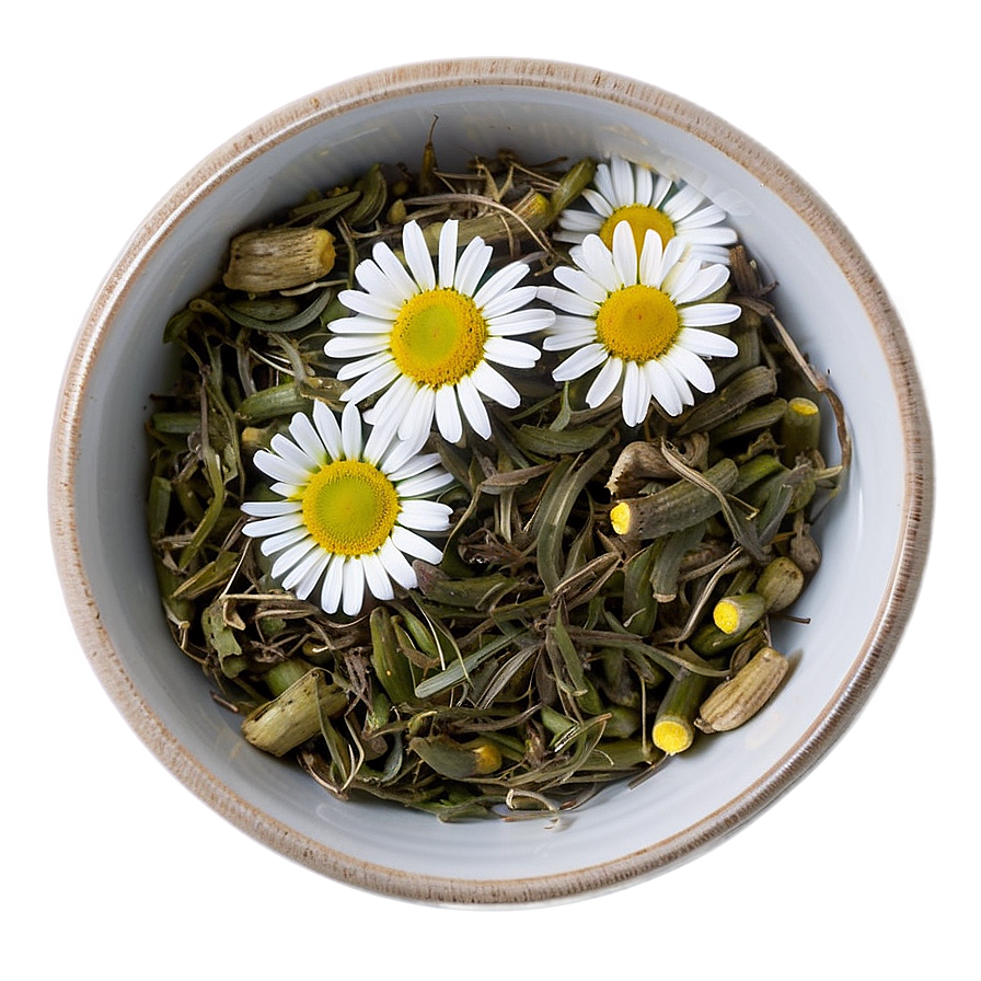 Camomile Tea Relaxation Png 70