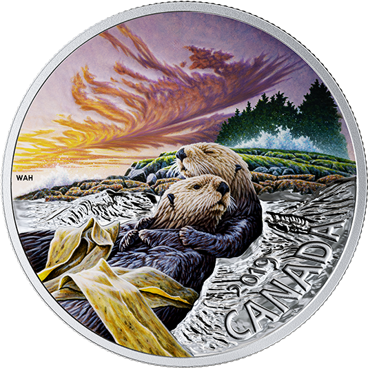 Canadian Otters Sunset Coin2019