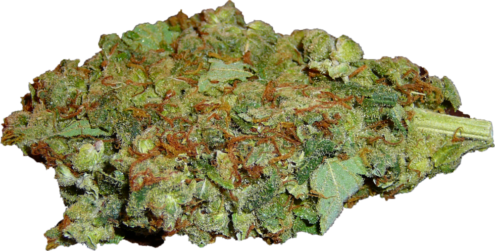 Cannabis Bud Closeup.png