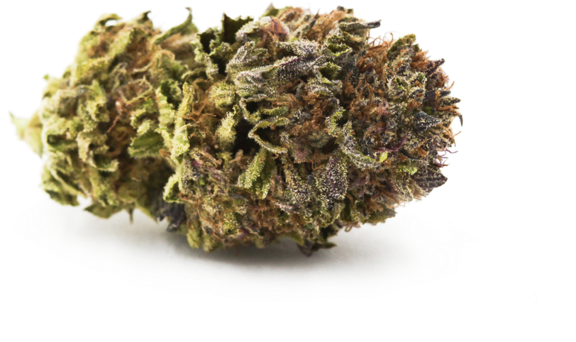 Cannabis Bud Closeup.png