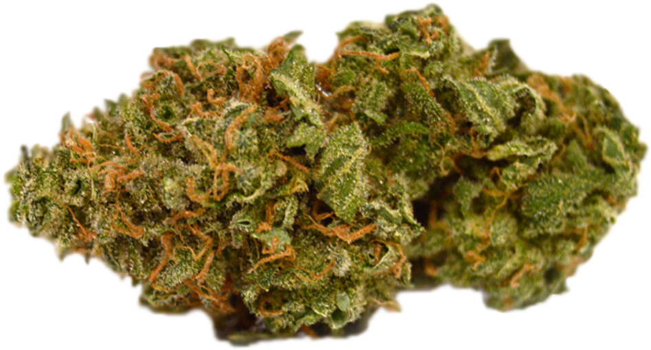 Cannabis Bud Closeup.png