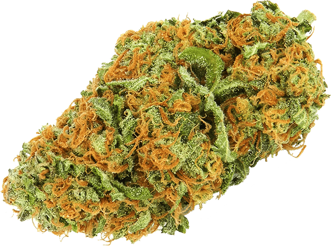 Cannabis Bud Closeup.png