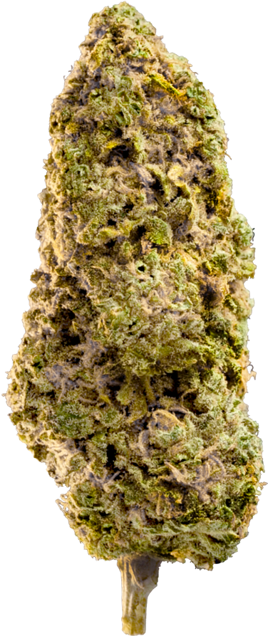 Cannabis Bud Closeup.png