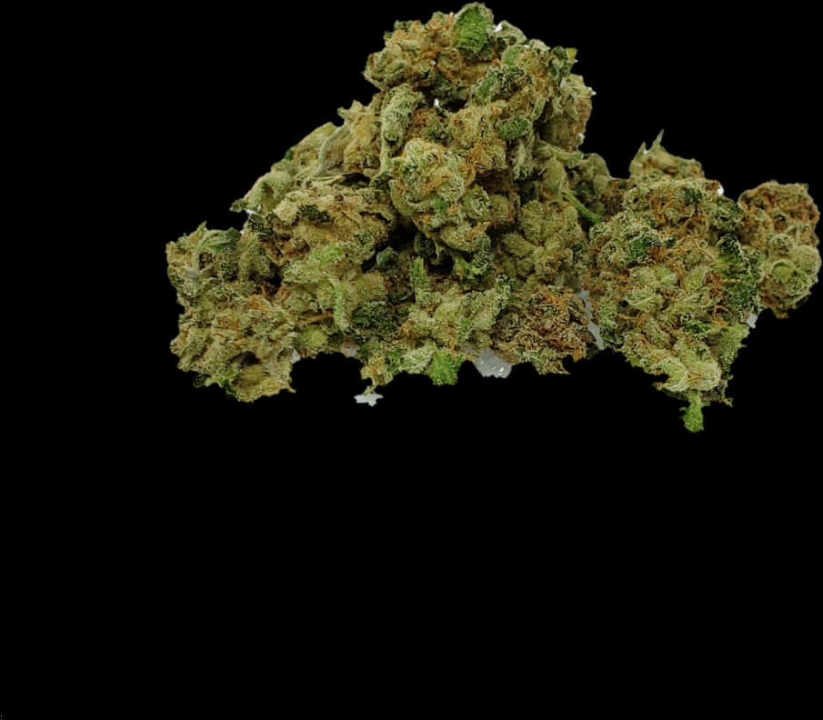 Cannabis Buds Black Background