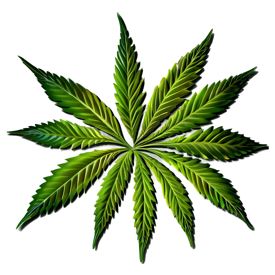 Cannabis Leaf Pattern Png 74