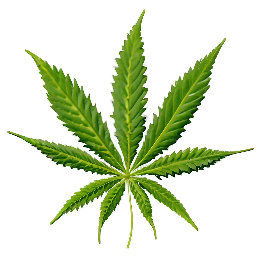 Cannabis Leaf Pattern Png Lfb29