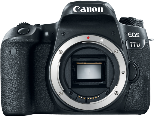 Canon E O S77 D D S L R Body