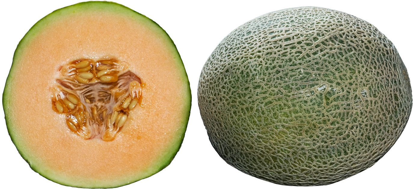 Cantaloupe Halfand Whole