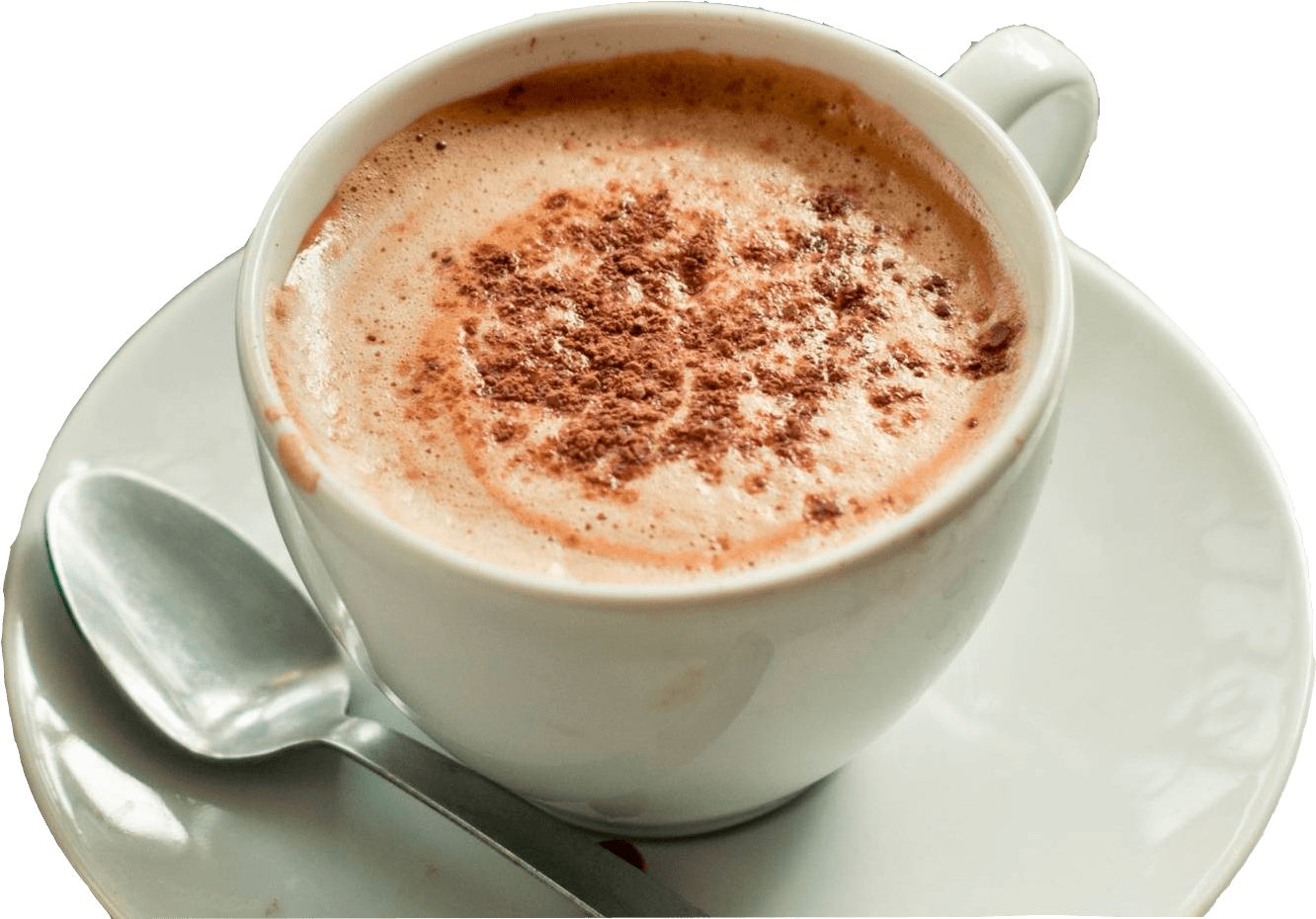 Cappuccino Cupwith Cinnamon Sprinkle