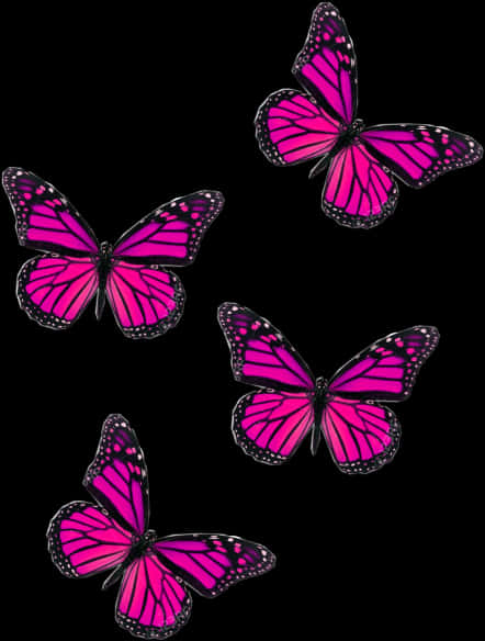 Captivating Image Of A Pink Butterfly