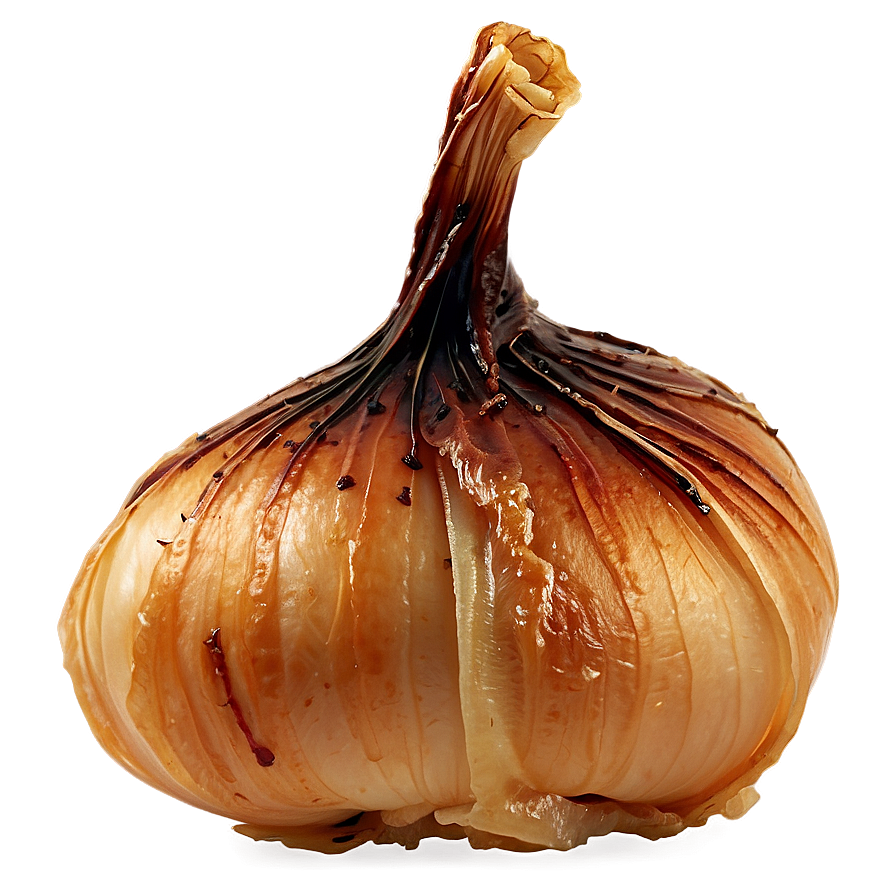 Caramelized Onion Garnish Png 58