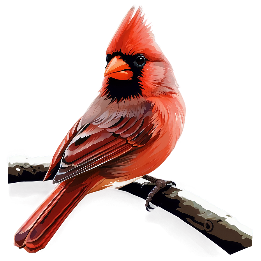 Cardinal Bird Vector Png Igp