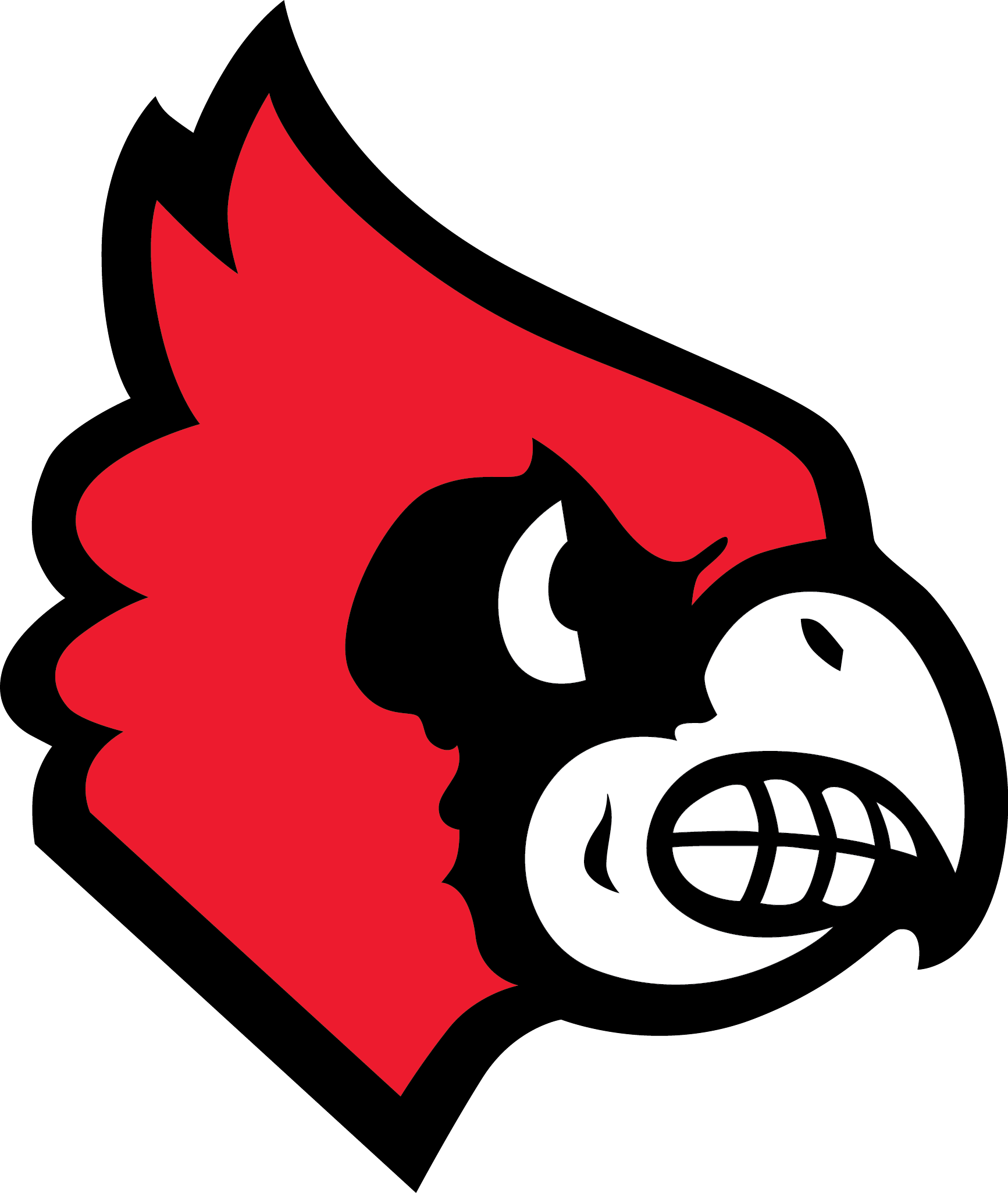 Cardinals Team Logo