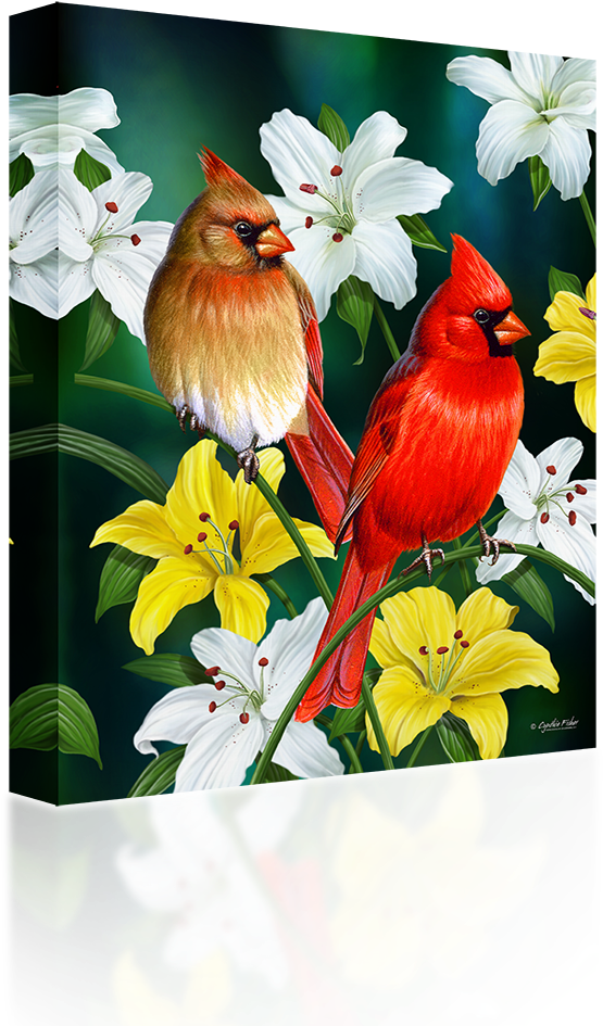 Cardinalsand Lilies Artwork