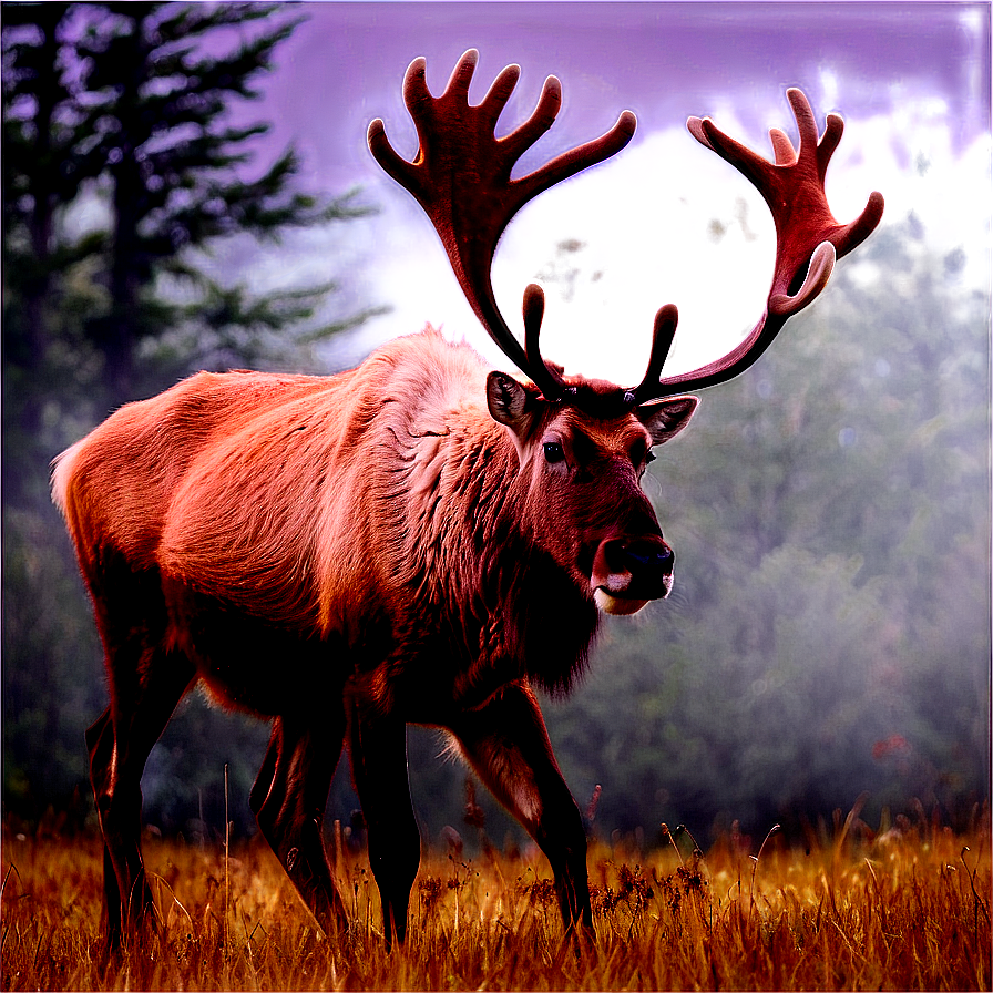 Caribou In Misty Morning Png Jnw