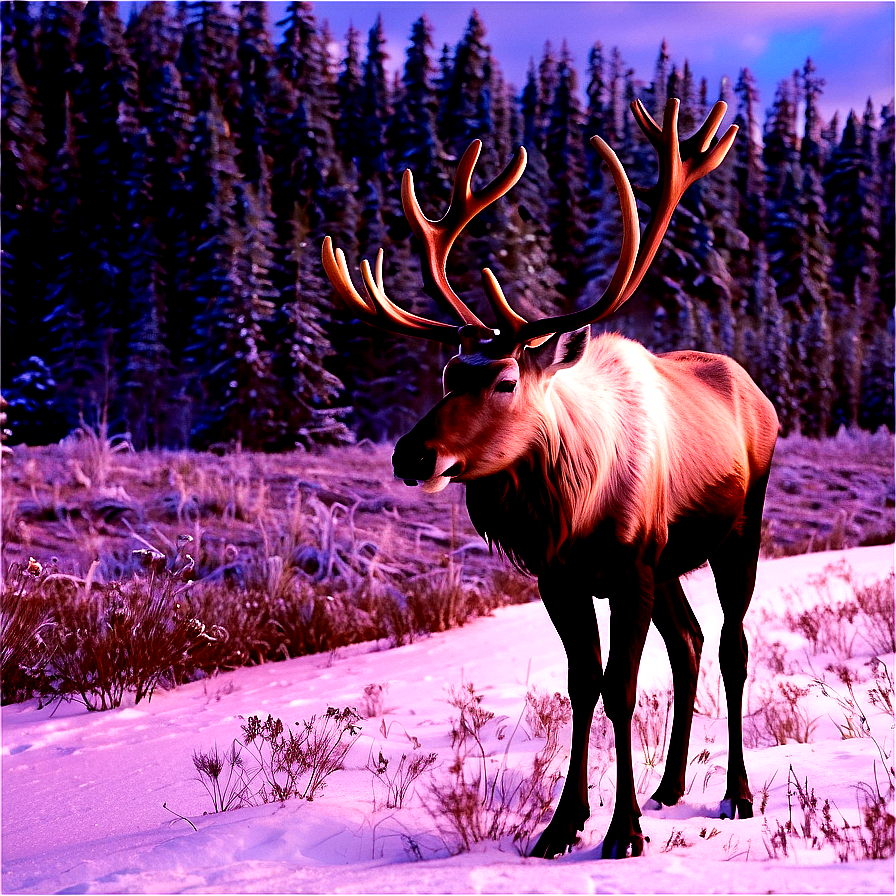 Caribou In Winter Wonderland Png 32