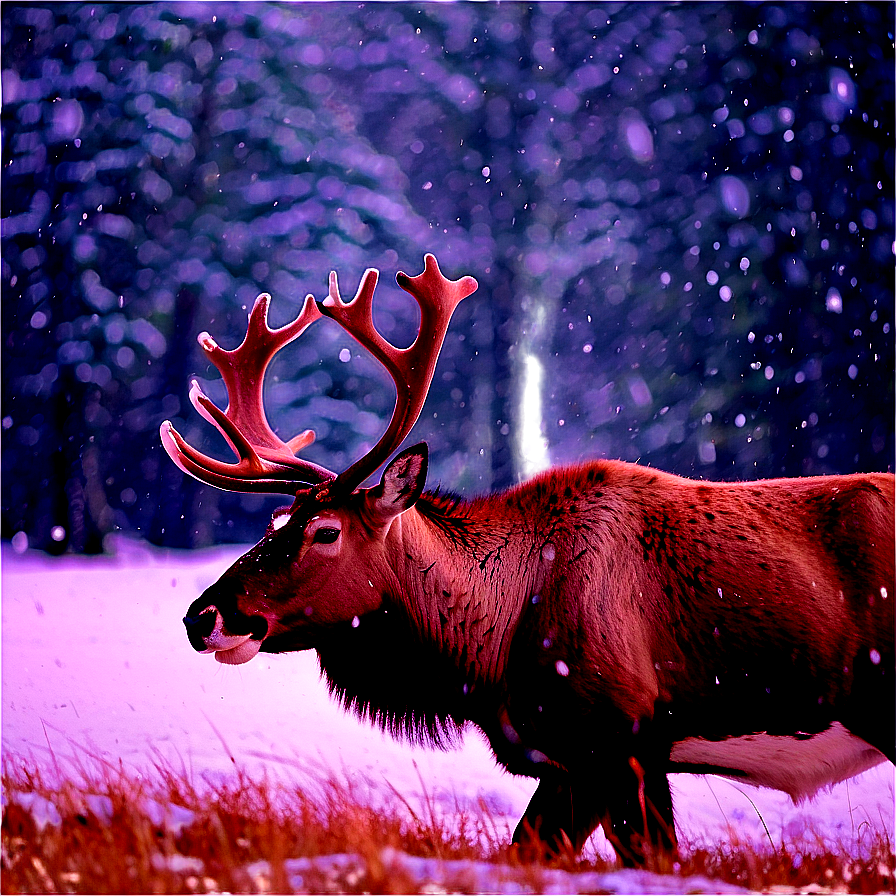 Caribou In Winter Wonderland Png 35