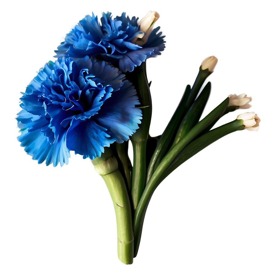 Carnation Bouquet Png 72