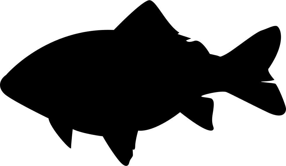 Carp Silhouette Graphic