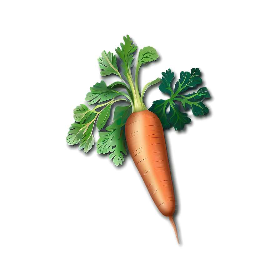 Carrot Drawing Png 43