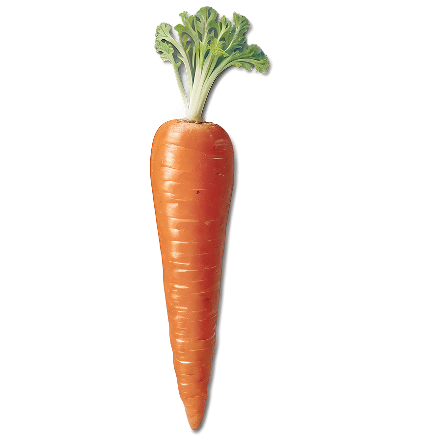 Carrot Garnish Png Yyy