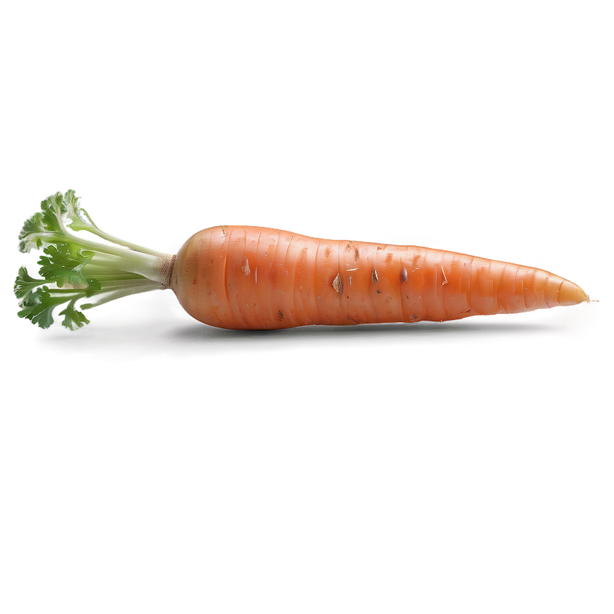 Carrot Isolated Png 05242024