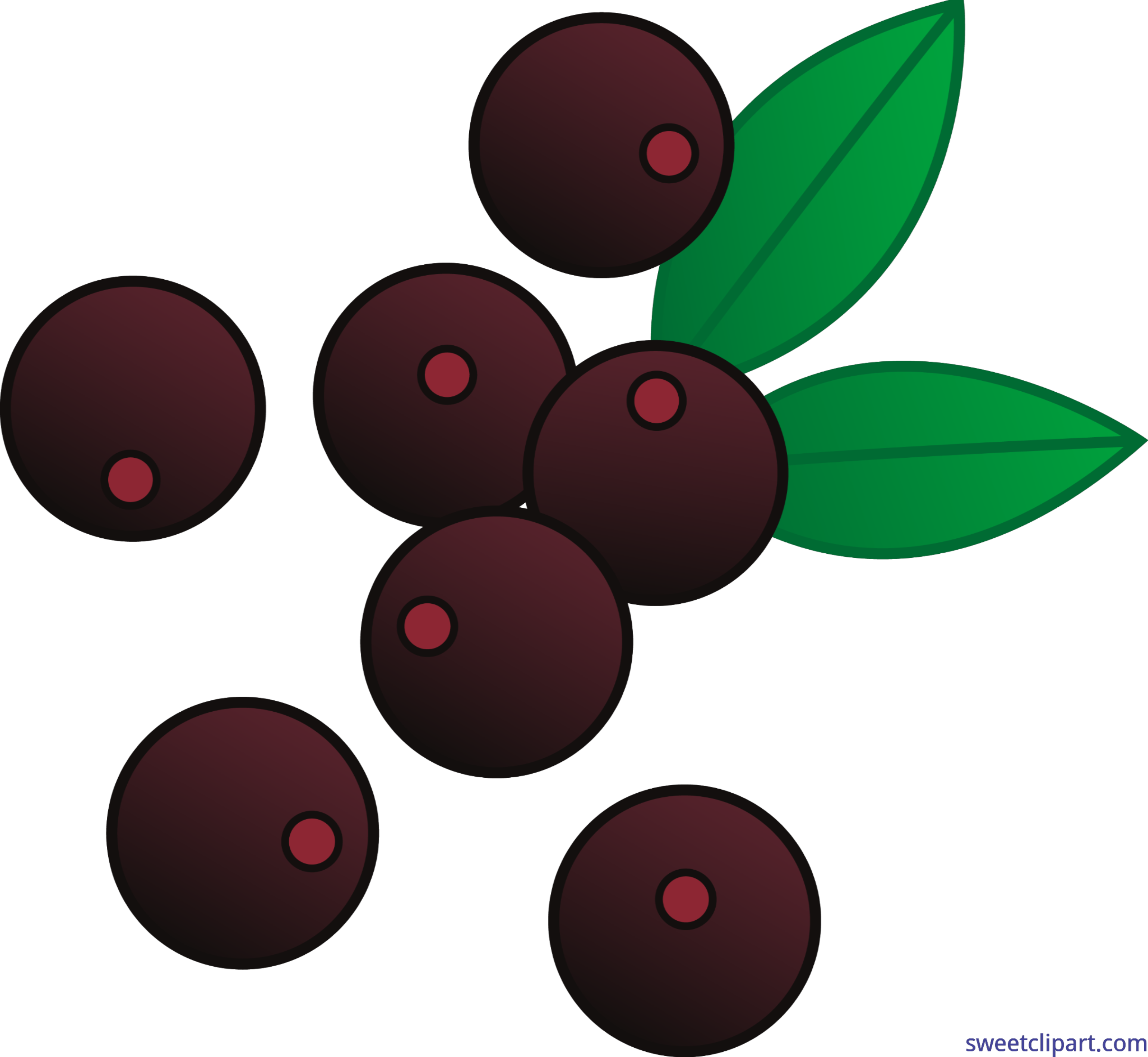 Cartoon Acai Berries Illustration