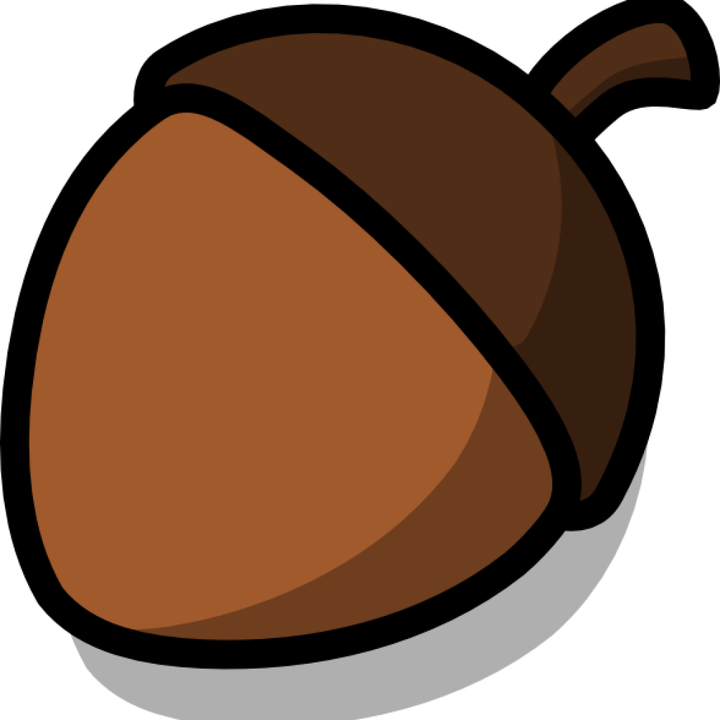 Cartoon Acorn Illustration