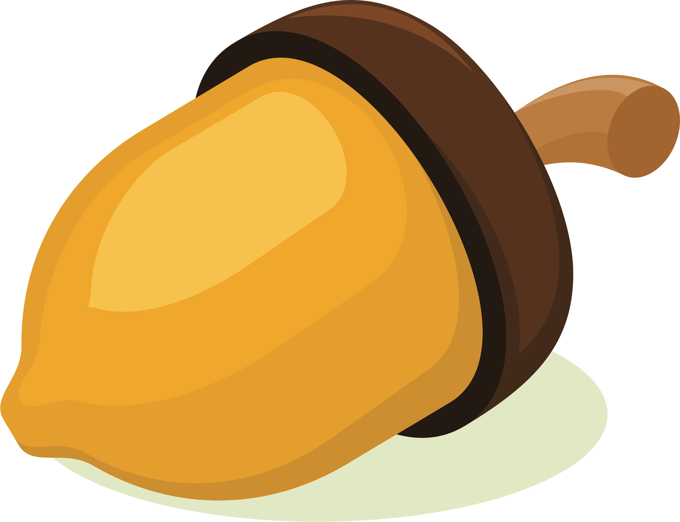 Cartoon Acorn Illustration