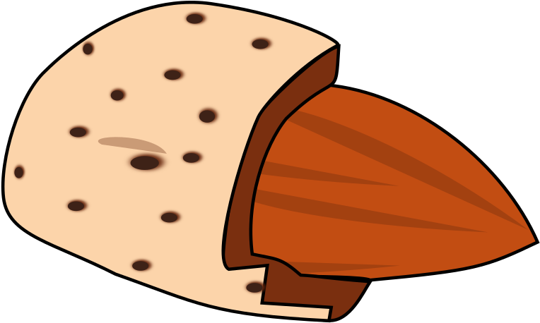 Cartoon Almond Half Shell