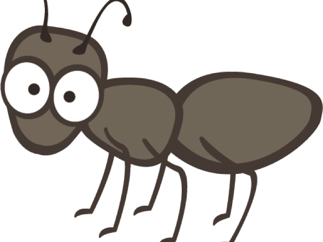 Cartoon Ant Illustration