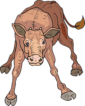 Cartoon Baby Calf Illustration