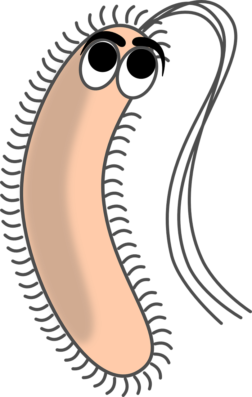 Cartoon Bacterium Character