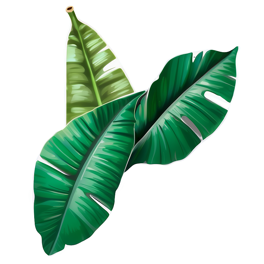 Cartoon Banana Leaf Png 06232024