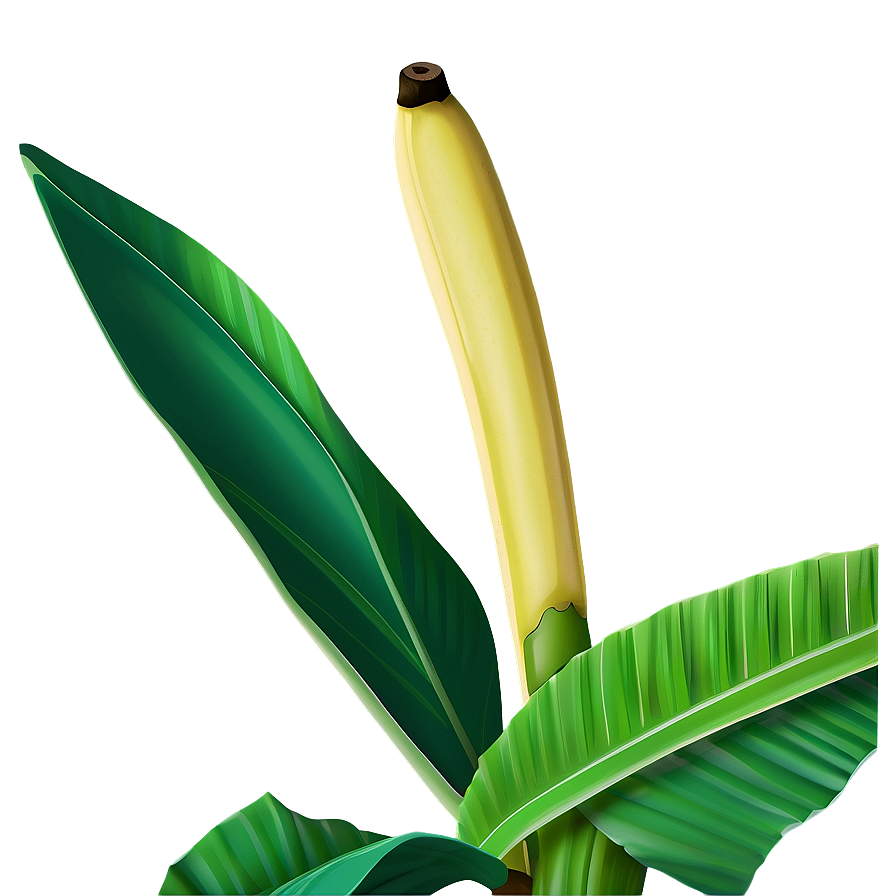 Cartoon Banana Leaf Png Ssv28