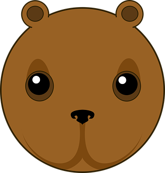 Cartoon Bear Face Graphic