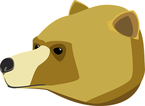 Cartoon Bear Head Vector