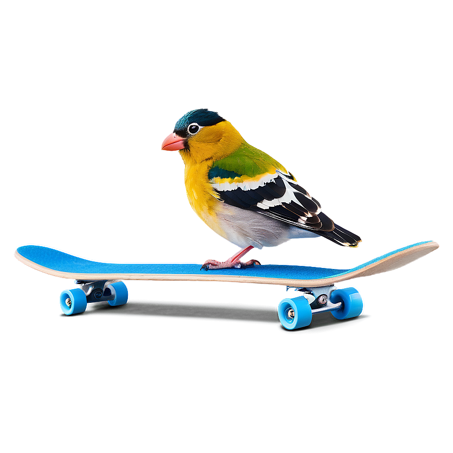 Cartoon Bird On Skateboard Png 94