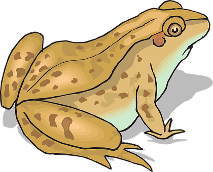 Cartoon Brown Frog Illustration