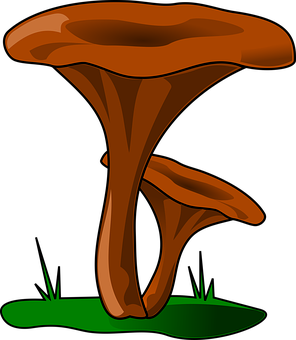 Cartoon Brown Mushroom Vector