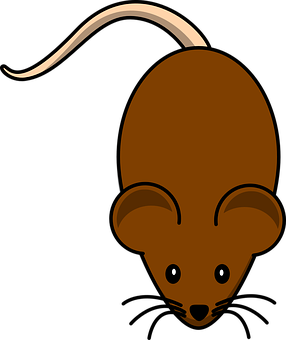 Cartoon Brown Rat Graphic