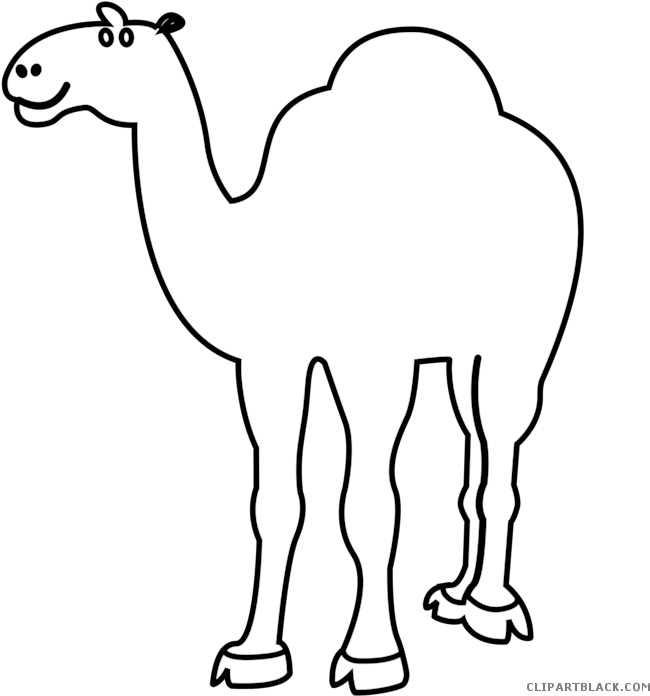 Cartoon_ Camel_ Illustration.png