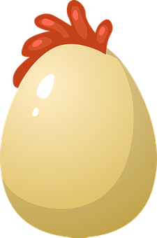 Cartoon Chicken Egg