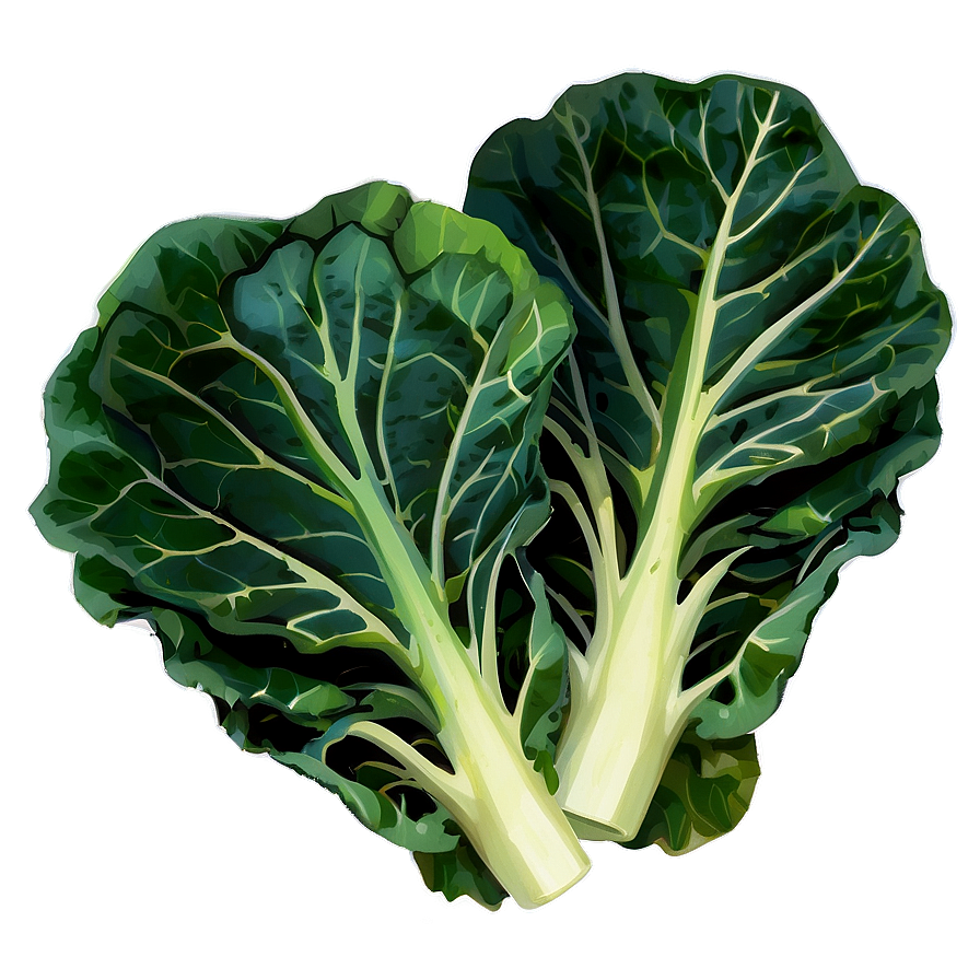 Cartoon Collard Greens Png 06252024