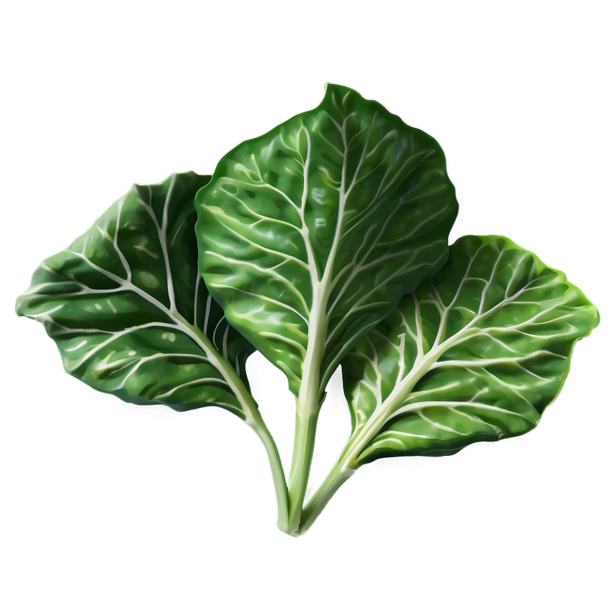 Cartoon Collard Greens Png Ugx