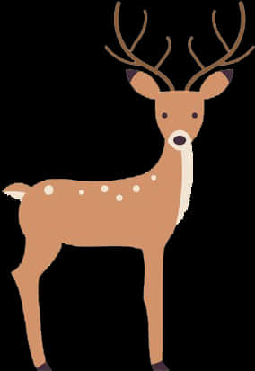 Cartoon Deer Illustration