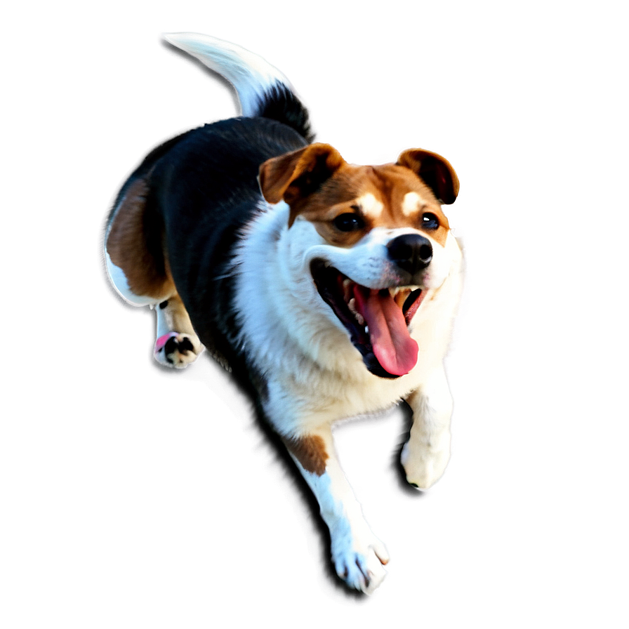 Cartoon Dog Png Ldk